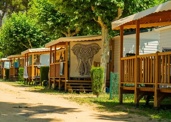 Hotel cerca del colegio: Camping Riembau